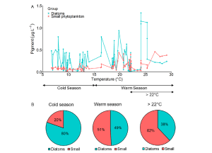 Temperature-Dependent Bifurcated Seasonal Shift of Phytoplankton Community Composition in the Coastal Water off Southwestern Korea 이미지